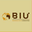 BIU Consulting
