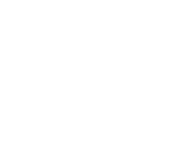 Agency of the Year