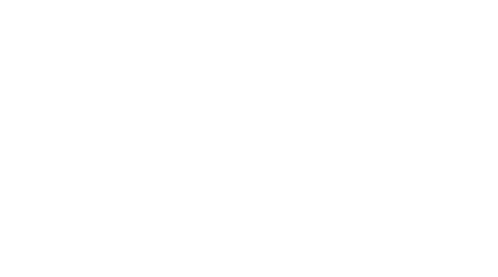 Flair